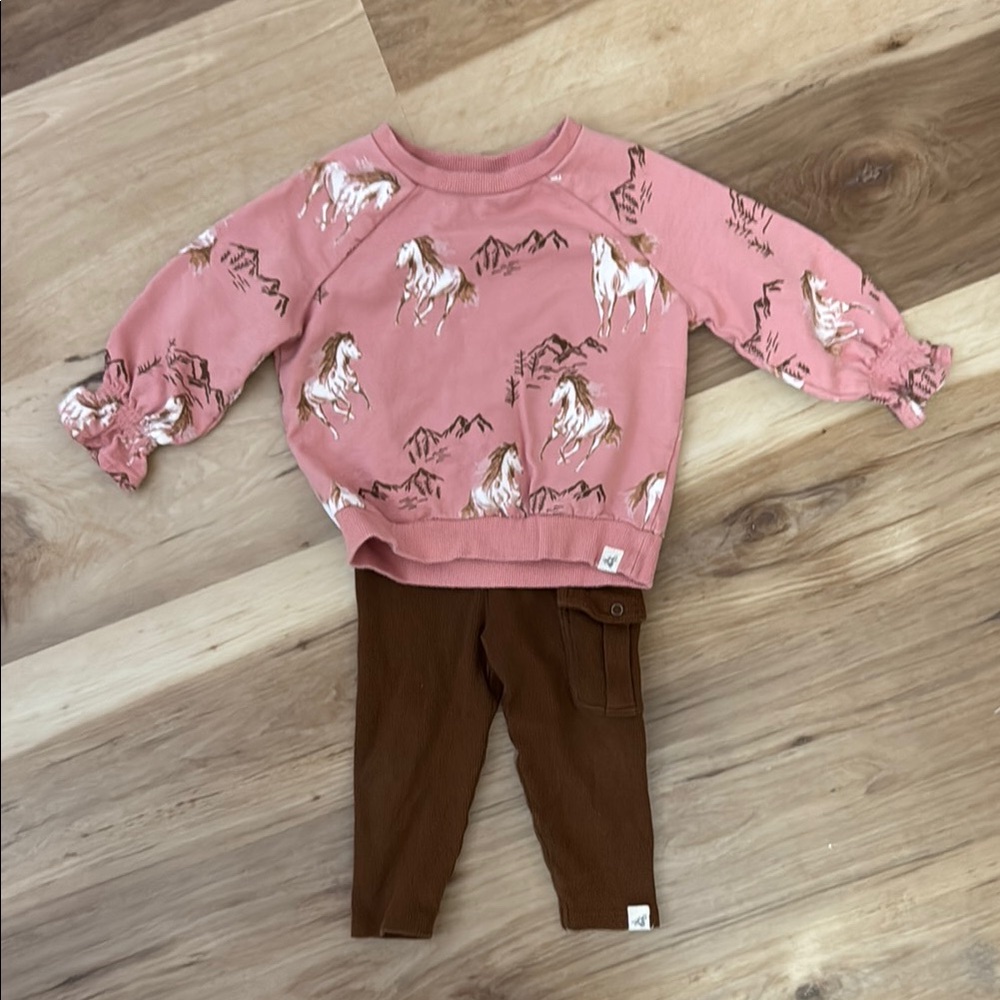 Cotton Burt's Bees Baby Pink Horse Pony Top with matching bottoms.